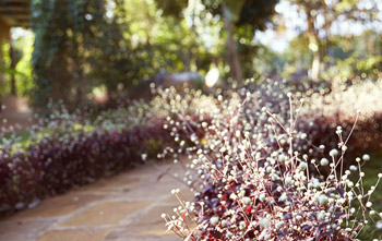 Test 31